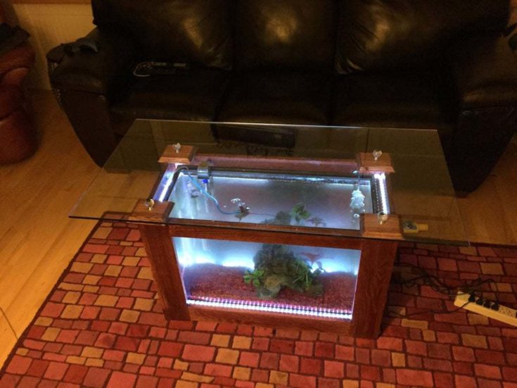 Table basse pour aquarium