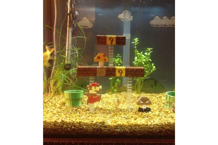 Aquarium à poissons rouges sur le thème de Super Mario