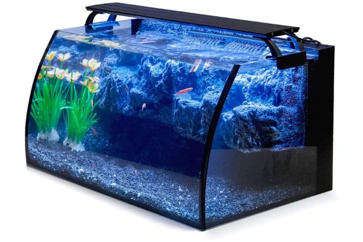 Kit d'aquarium en verre à LED Hygger Horizon de 8 gallons