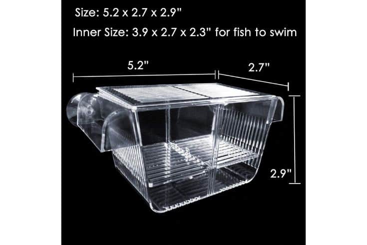 Boîte d'isolement pour poissons en acrylique Capetsma avec ventouses