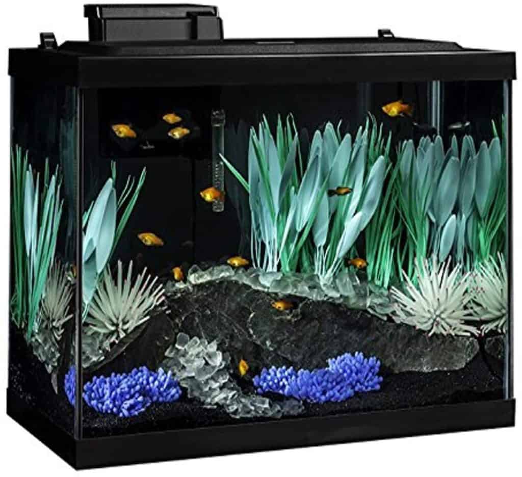 Kit d'aquarium Tetra ColorFusion de 20 gallons, avec éclairage LED et décoration