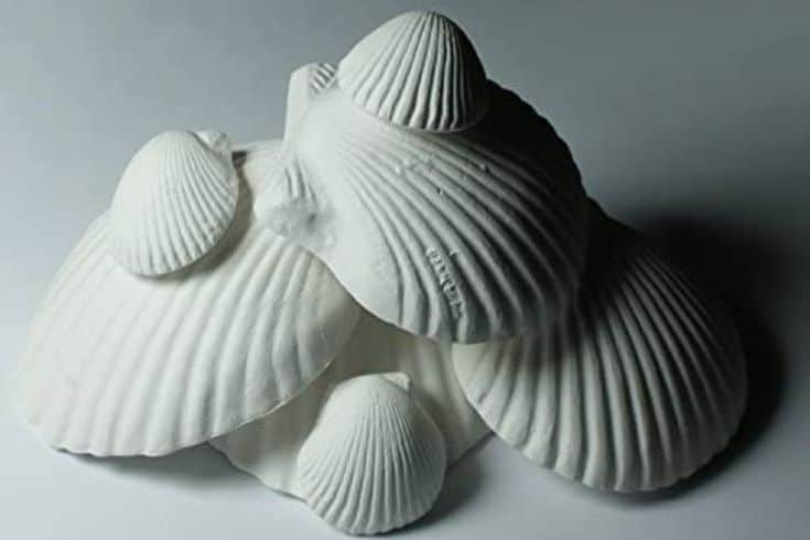 Minéraux naturels Weco Wonder Shell