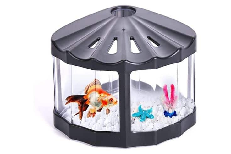 Aquarium - Betta Fish Bowl Goldfish Aquarium Set Beta Fish Bowl pour crabes tortues reptiles méduses crevettes algues insectes