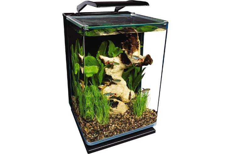 Meilleur aquarium pour guppys – Avis et guide d’achat